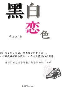 黑白禁恋/一对双胞胎兄弟和他们的好基友