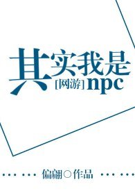 其实我是npc[网游]