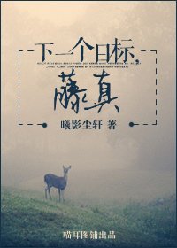 （灌篮高手同人）[SD]下一个目标，藤真