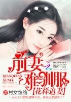 花样追妻：前妻难驯服