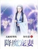 无耻相爷的降魔宠妻