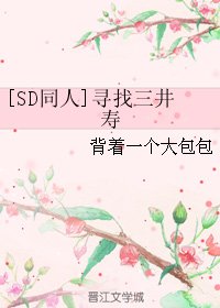 （BG/SD同人）[SD同人]寻找三井寿