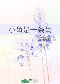 小鱼是一条鱼